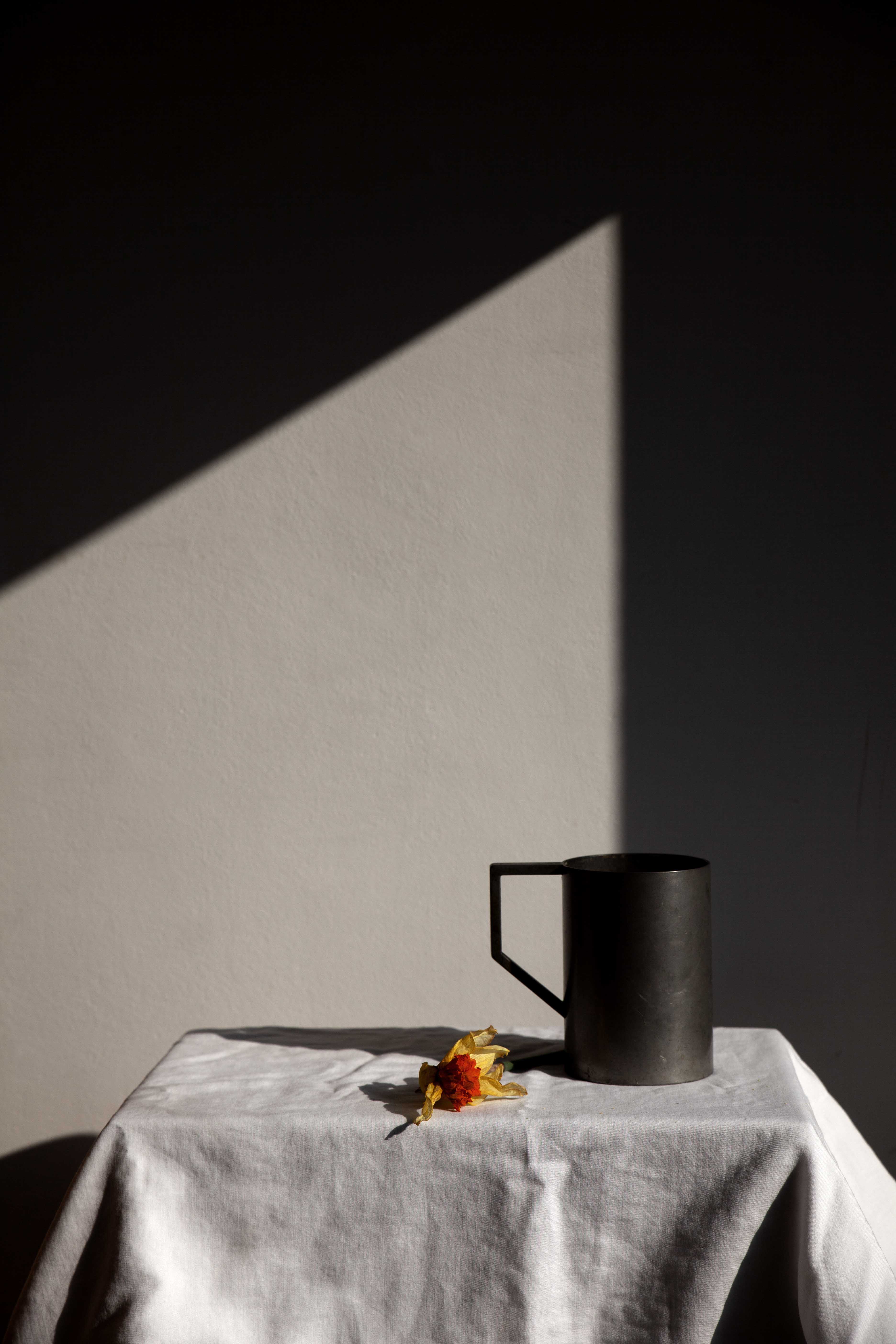 Shadow play