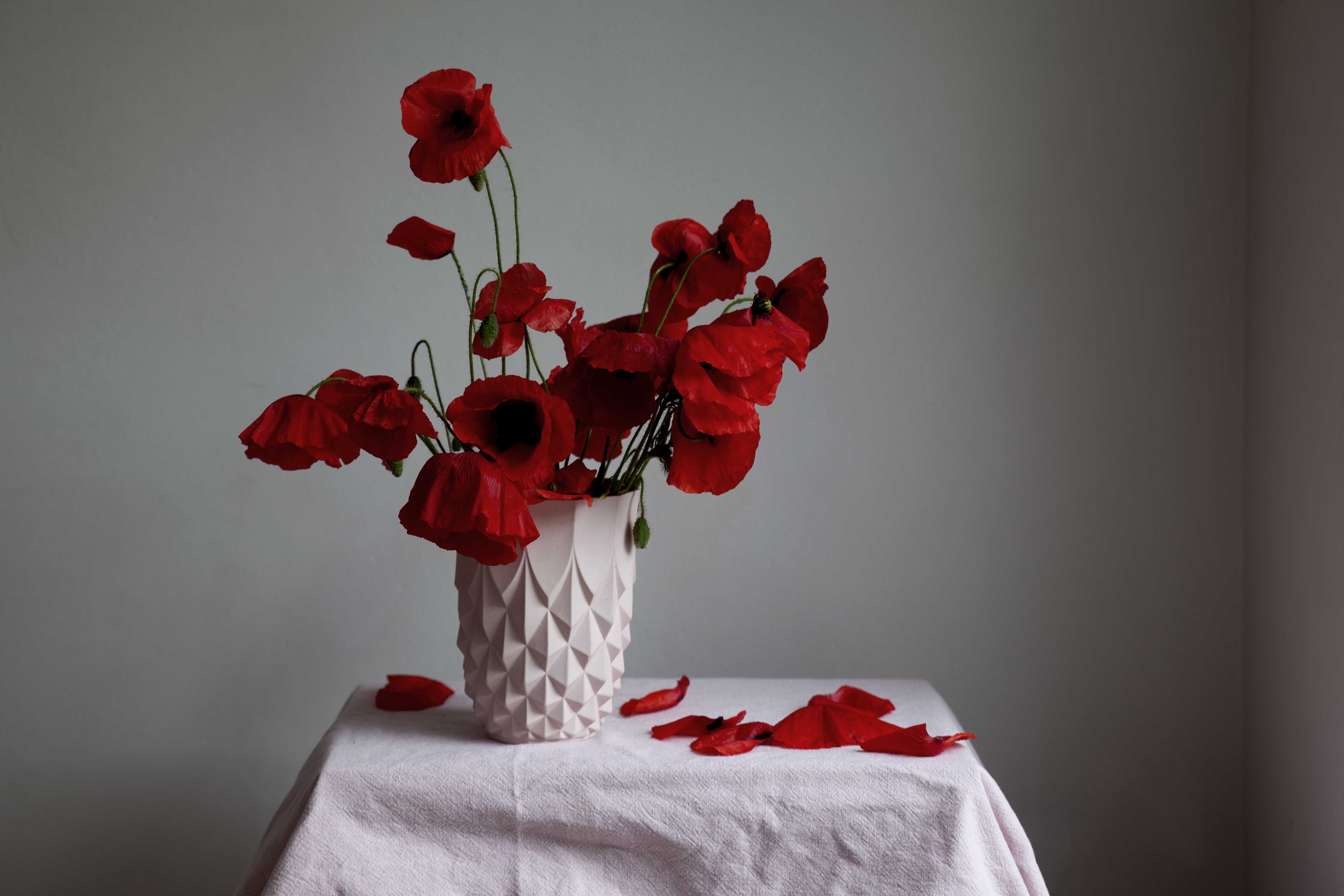 Poppy Love